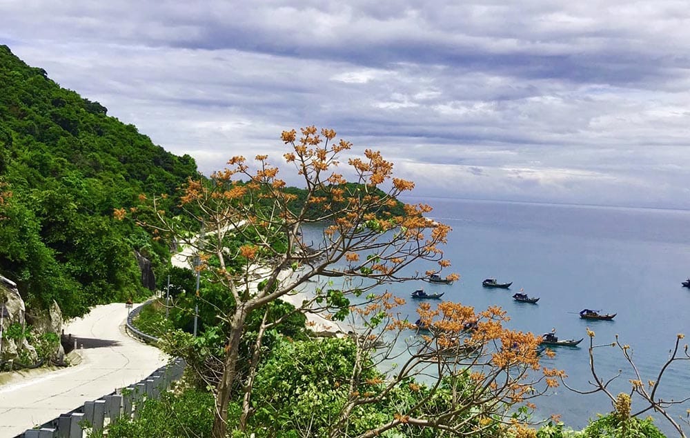 Cu Lao Cham Island, Vietnam Travel Blog A Summer Escape That Feels Illicitly Untouched