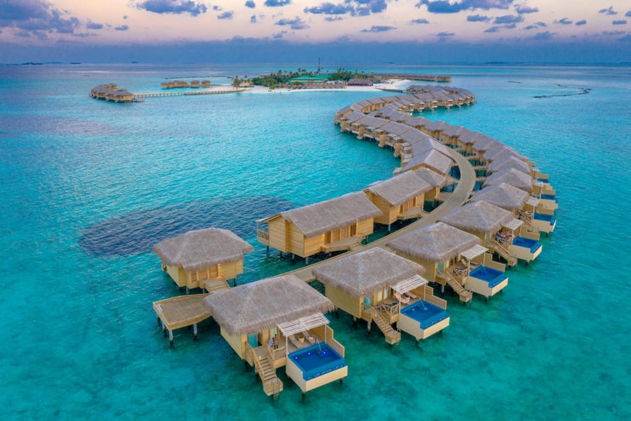 Honeymoon Dreams In Maldives. Sunshine, Dragonflies And Endless Blue